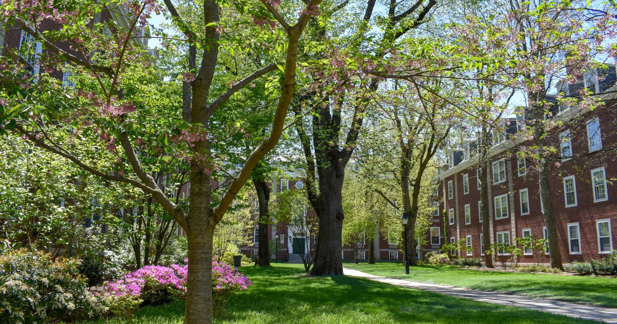 Living In A Dorm At Hbs Mba Harvard Business School