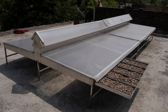 Drying racks of ginger root for S4S Technologies